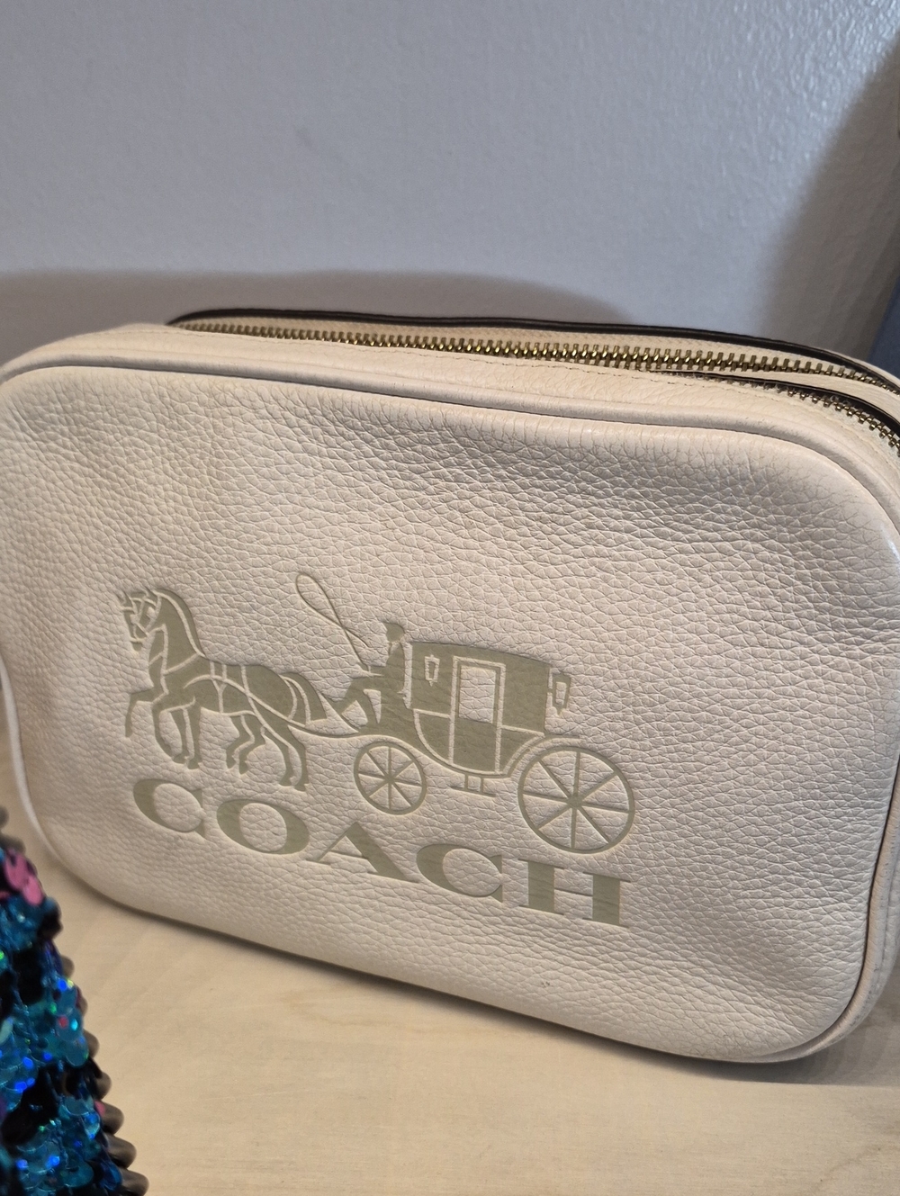 Coach Off-White Pebbled Leather Camera Bag with Carriage Logo. NWOT.
